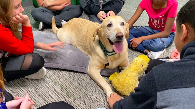 students gathered around a dog in the classroom