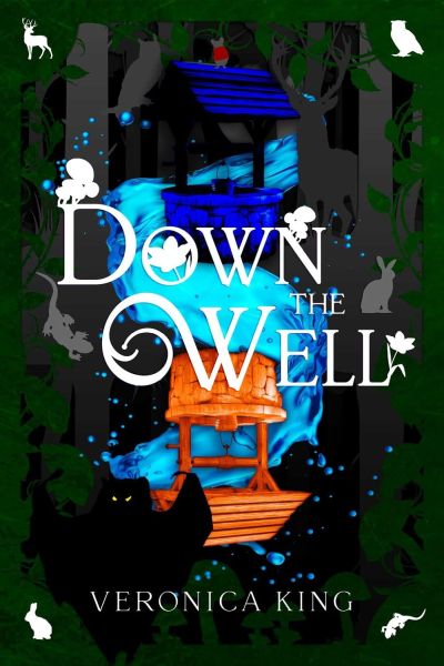 Down the Well book cover