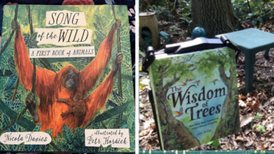 Examples of Earth Day books for kids, including Song of the Wild and the Wisdom of Trees, which is in the woods with leaves and trees in background.