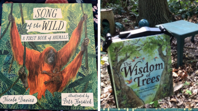 Examples of Earth Day books for kids, including Song of the Wild and the Wisdom of Trees, which is in the woods with leaves and trees in background.