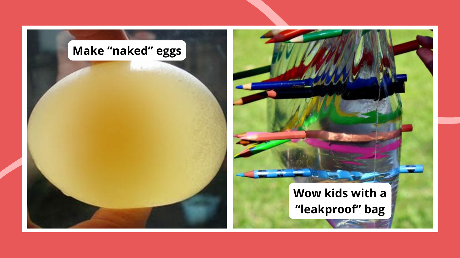Easy science experiments including a "naked" egg and "leakproof" bag