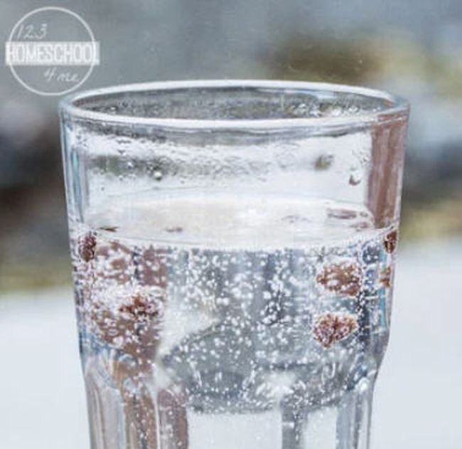 Raisins floating in a glass of fizzy water