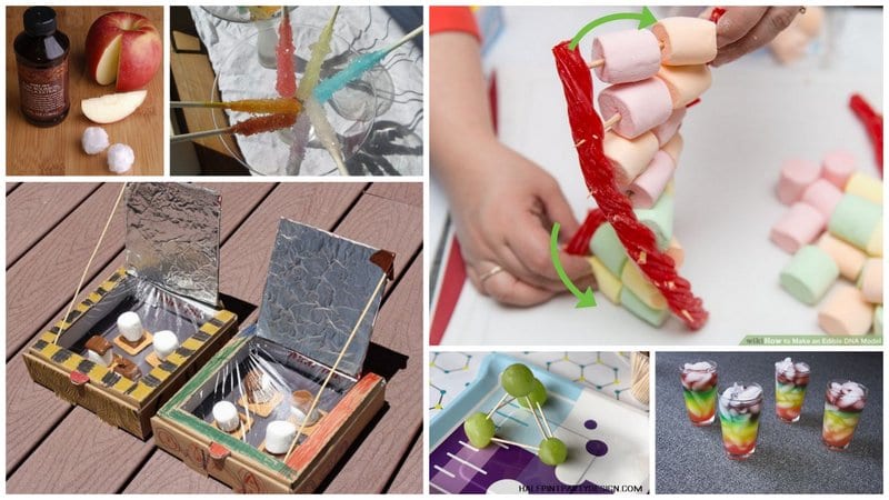 Collage of Edible Science Activities