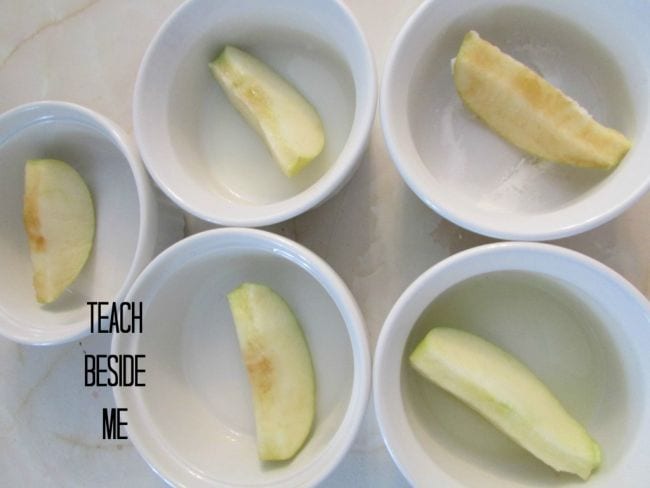 Apple slices in small white bowls (Edible Science)