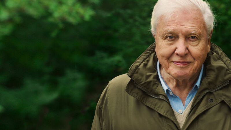 Sir David Attenborough against a forest background