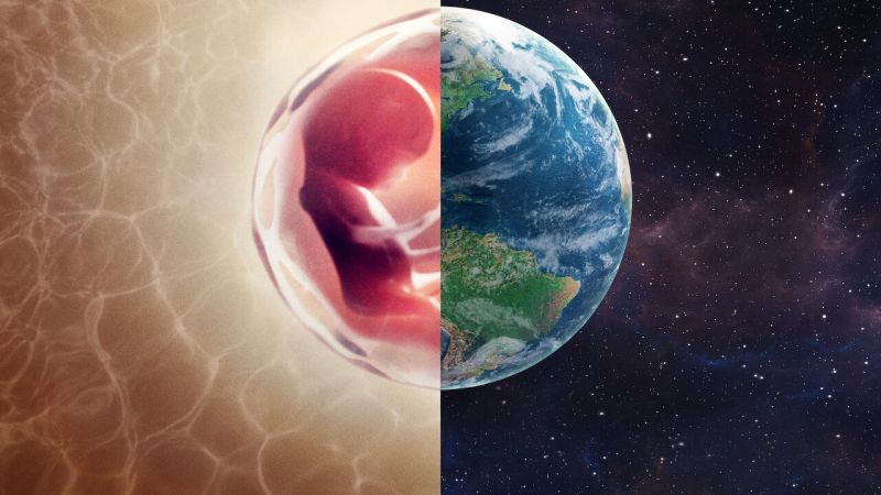Split screen image of a human embryo in the womb and the Earth in space