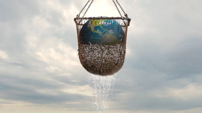 Fishing net full of fish, with a model of planet Earth on top