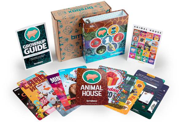 Bitsbox coding subscription box for kids for a kid subscription box 