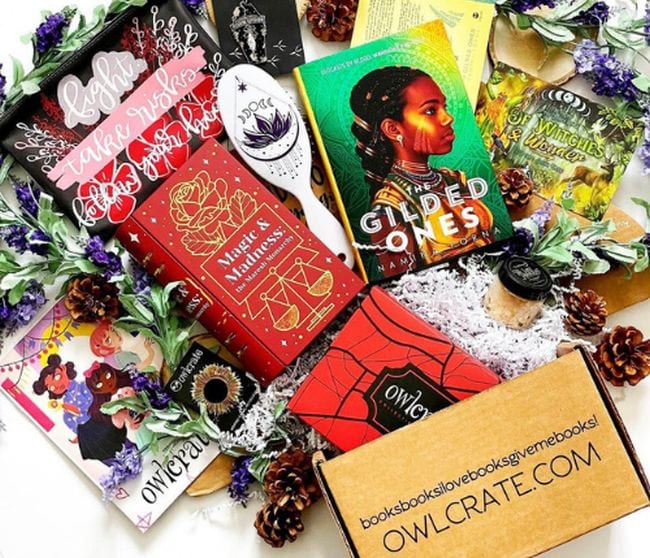OwlCrate book subscription box with various reading related items