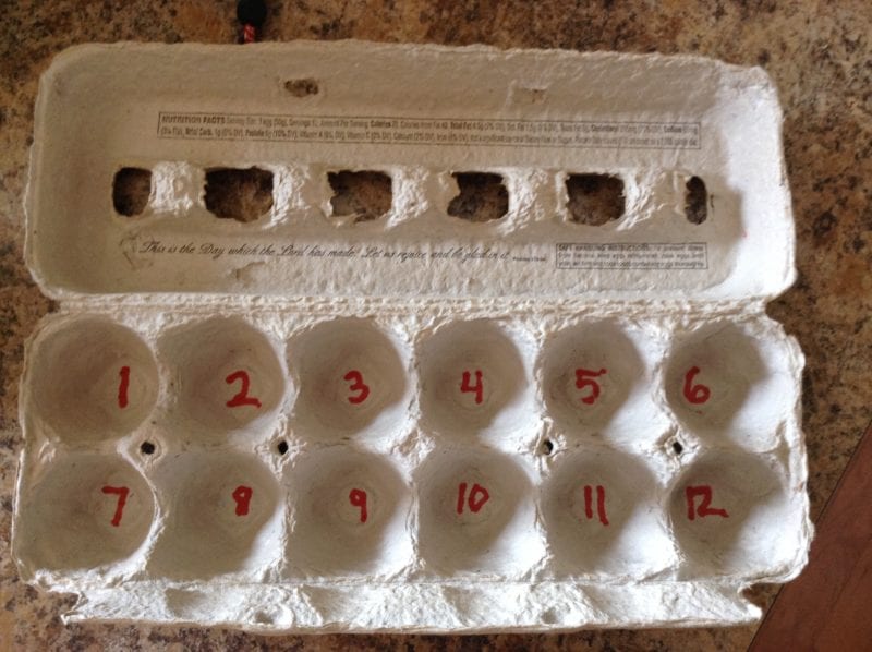 Empty egg carton with numbers drawn in the cups, used to teach multiplication