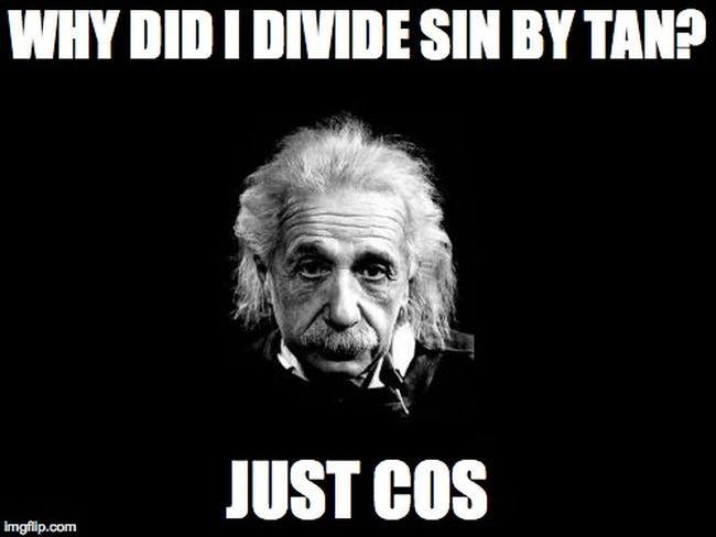 'Why did I divide sin by tan? Just cos.' Einstein meme