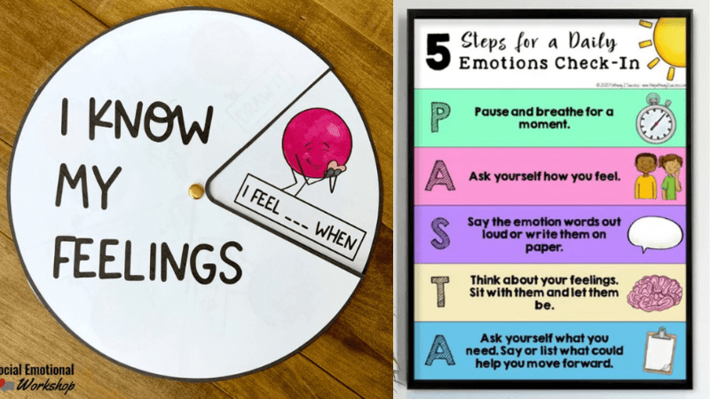 Emotional regulation tips including an emotions wheel and daily check-in chart.