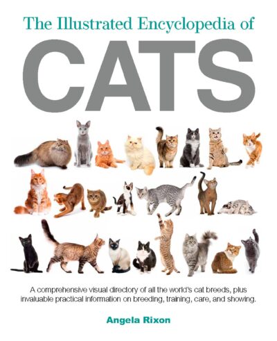 Book cover of The Illustrated Encyclopedia of Cats by Angela Rixon with photographs of various types of cats