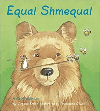 Book cover for Equal Shmequal