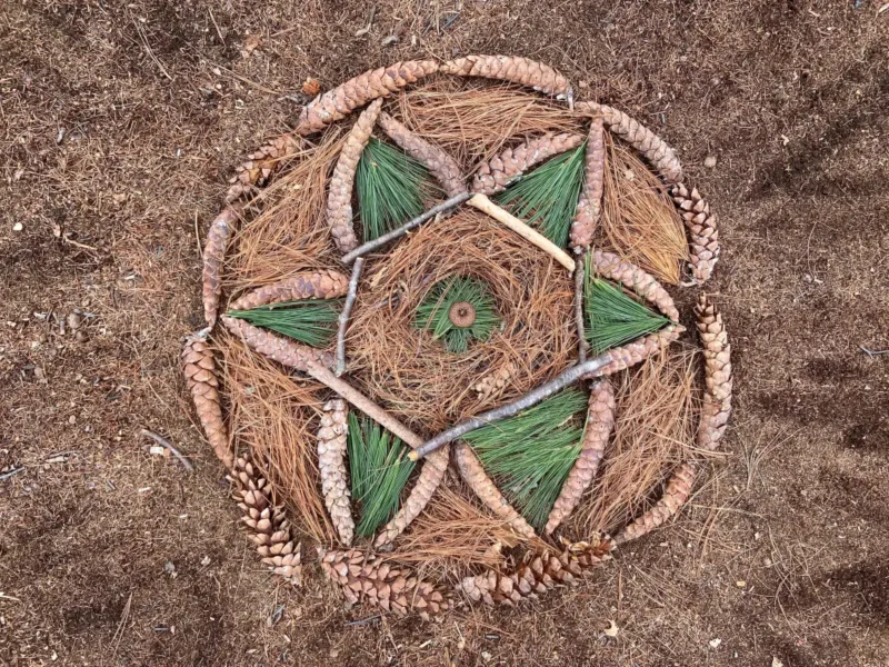 evergreen mandala made with pine needles and sticks 