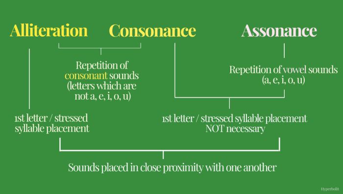 Infographic showing similarities and differences between Alliteration Consonance Assonance (Examples of Literary Devices)