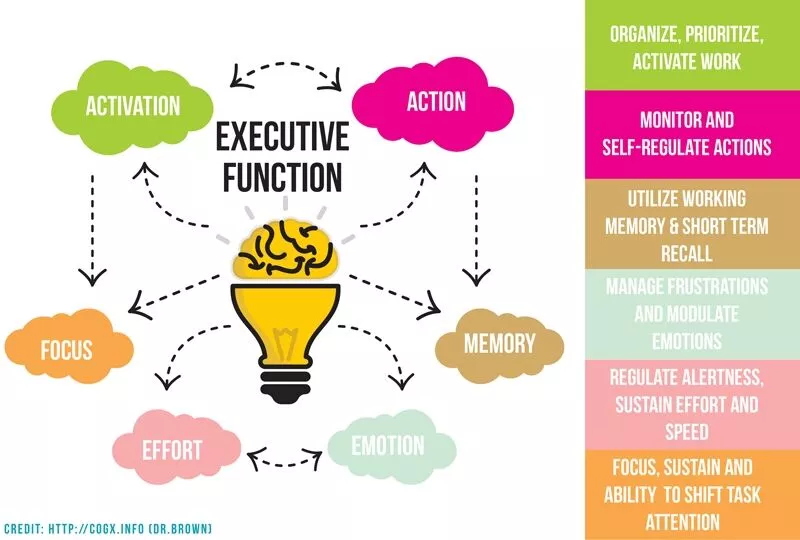 infographic about what executive functioning is 
