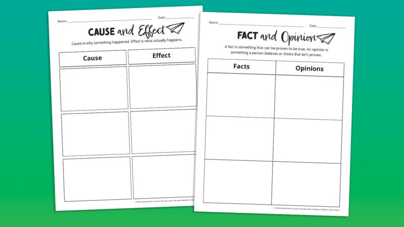 Flat lays of cause and effect and fact and opinion templates