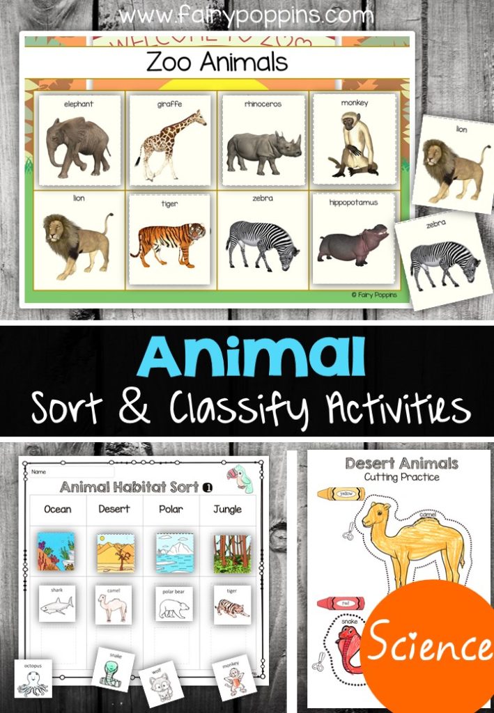 Charts show zoo animals sorted by category.