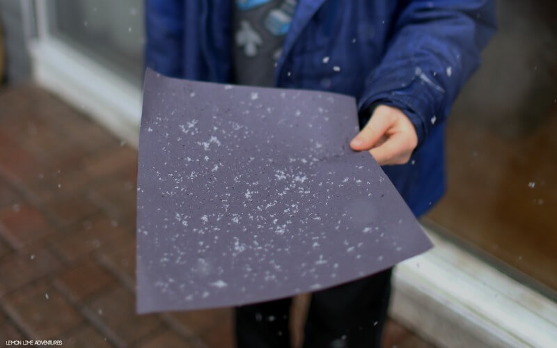snowflakes landing on black construction paper for snow activity