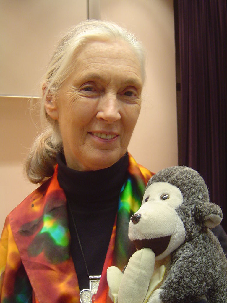 Jane Goodall, on the list of famous women in history, is holding her toy monkey "Mr. H", which accompanies her during travel. Jane Goodall is a famous animal scientist for studying chimpanzees.