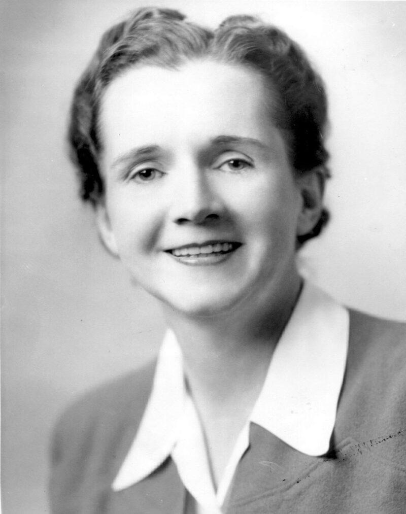 Rachel Carson, author of Silent Spring. Official photo as FWS employee. c. 1940.