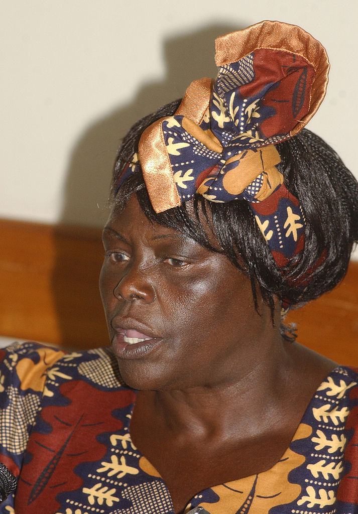 Wangari Maathai in 2004