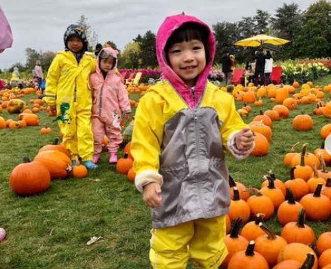 Young student visiting a pumpkin patch in the rain