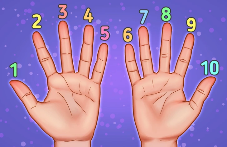 An illustration of two hands spread out with each finger labeled with a number from 1-10