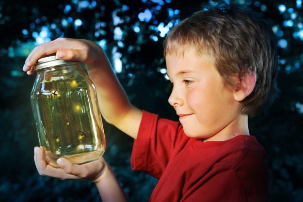 photo-of-boy-holding-firefly-jar