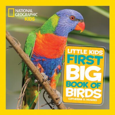 Bird books for kids book cover: National Geographic Little Kids First Big Book of Birds