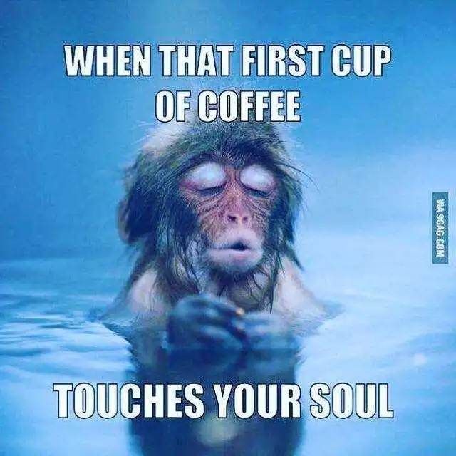 first cup of coffee meme