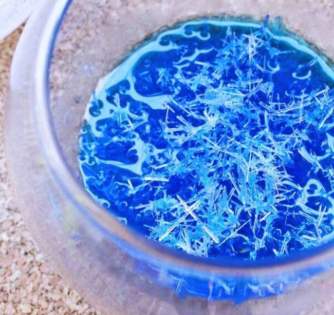 Glass bowl holding blue water solution covered in crystals (First Grade Science Experiments)