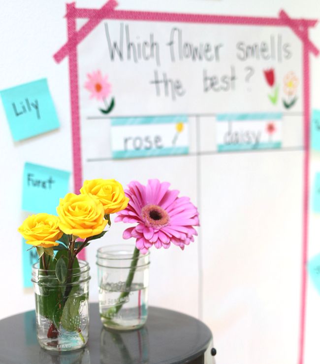 Roses and a gerber daisy in mason jars, next to a chart reading What flower smells the best?