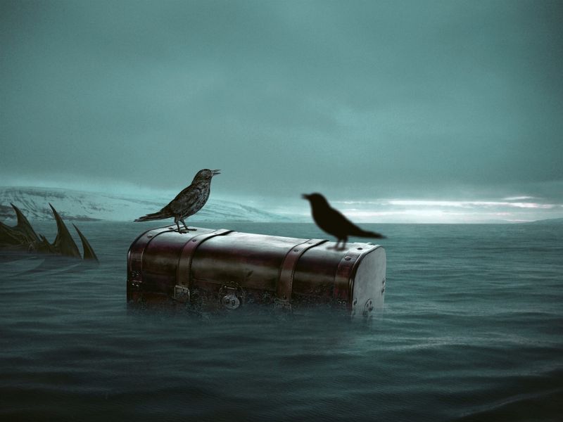 Two black birds sitting on a chest floating in the water