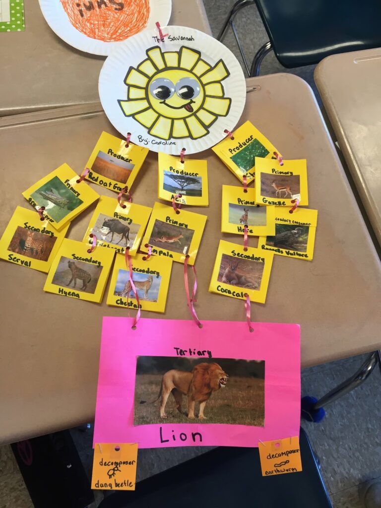 A paper plate has a sun on it. Ribbon has been used to attach a lot of small yellow squares with pictures of plants and animals on them. A large pink piece of paper is at the bottom with a picture of a lion on it.