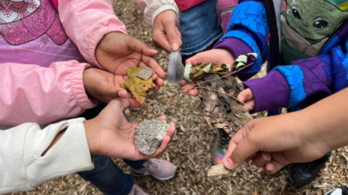 Students' hands holding rocks and feathers