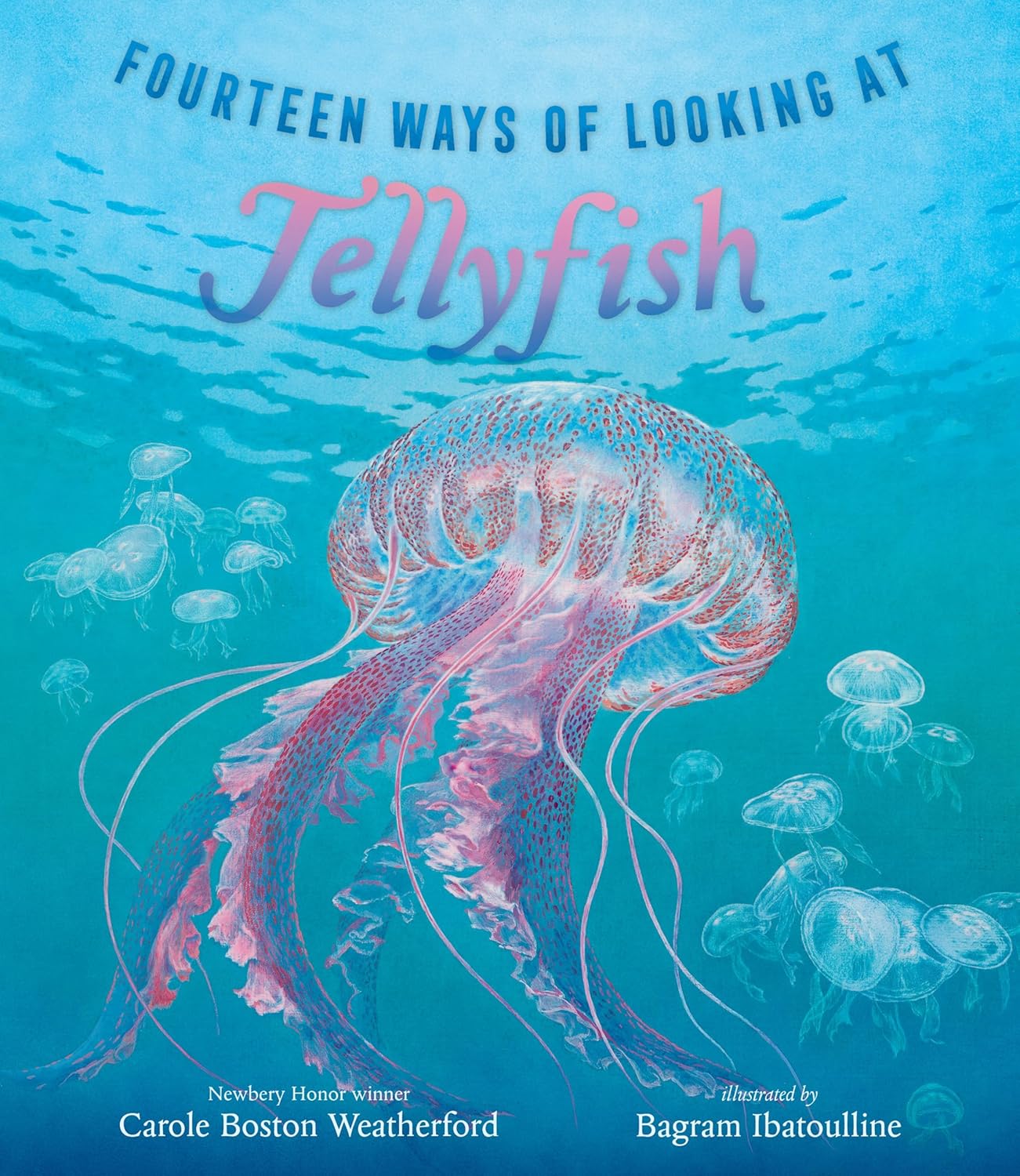 Fourteen Ways of Looking at Jellyfish book cover