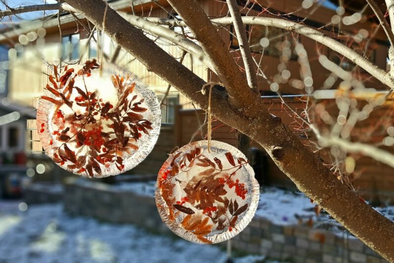 frozen suncatchers made with leaves and ice a fun winter activity