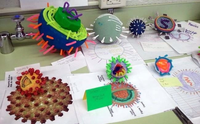 3-D models of viruses made from a variety of materials (Germ Science Projects)