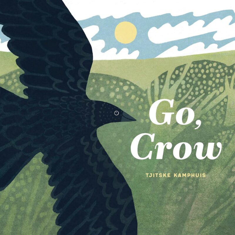 Go, Crow book cover
