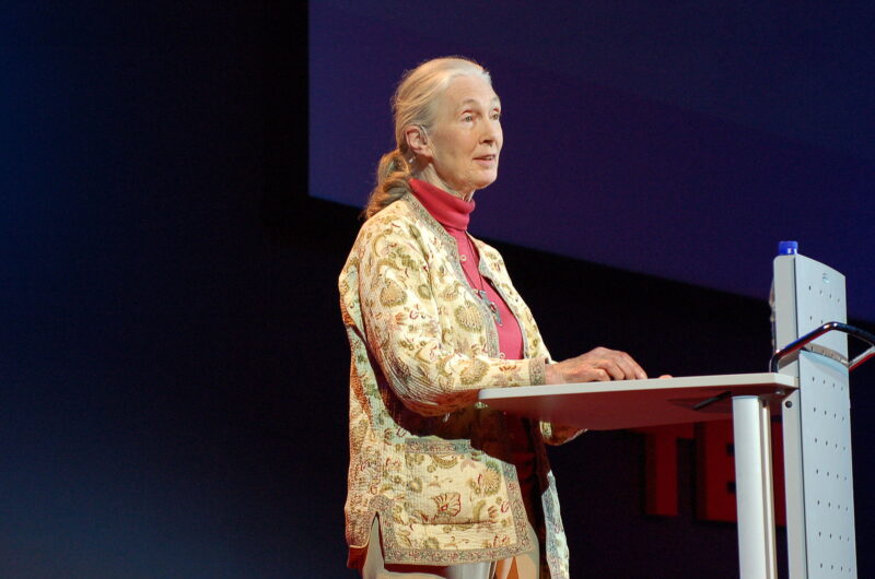 Jane goodall giving a speech in 2007