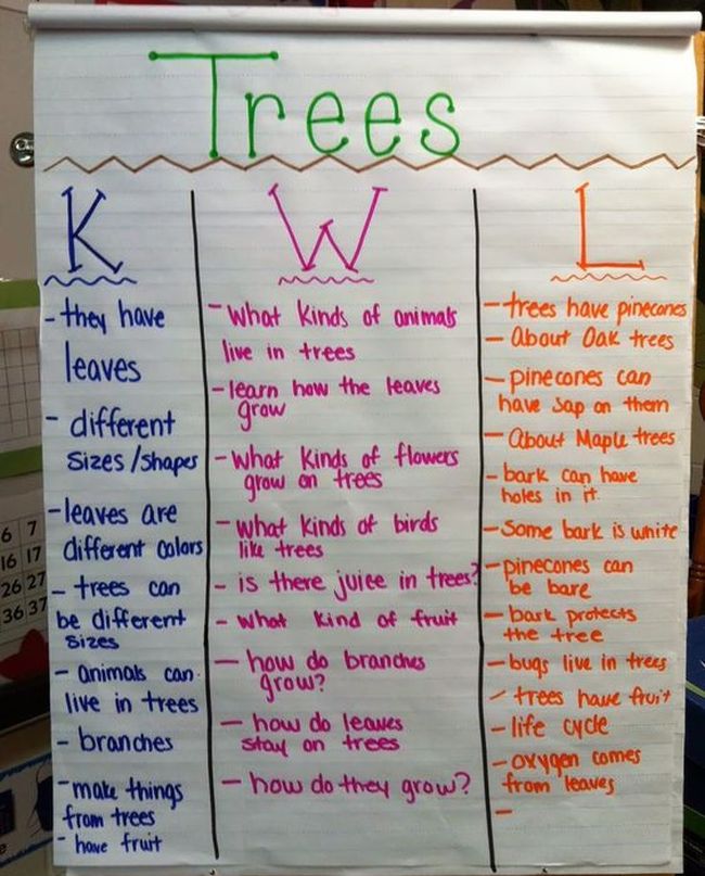 Know, Want to Know, and Learn chart about trees