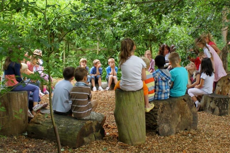 students sitting on tree stumps in a forest 