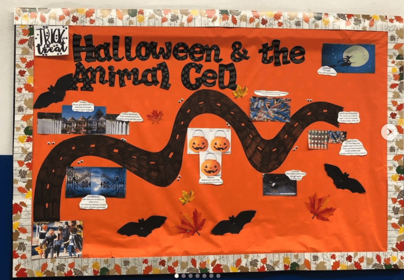 Halloween and the Animal Cell bulletin boards