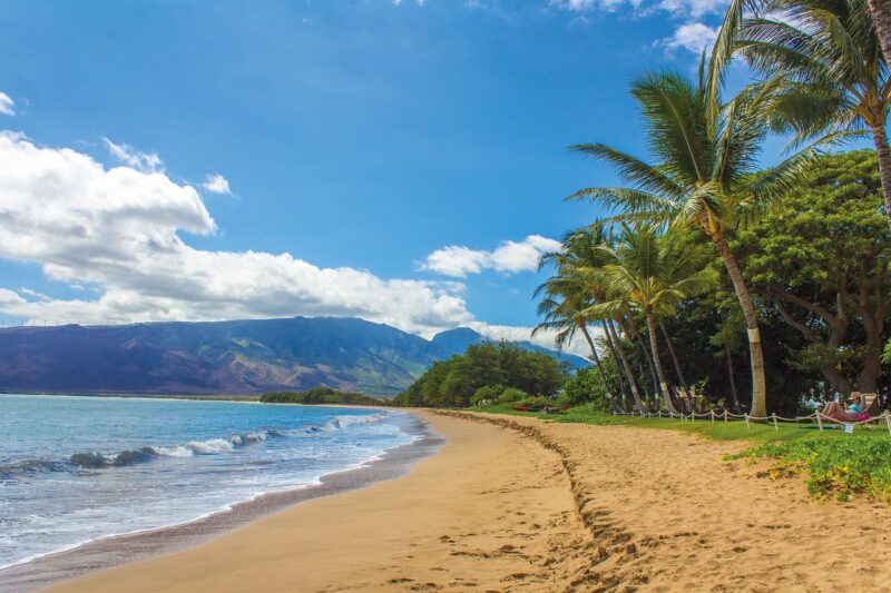 Beach landscape in Hawaii.
