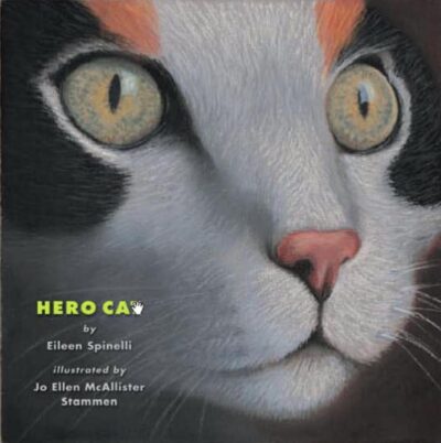Book cover of Hero Cat by Eileen Spinelli, illustrated by Jo Ellen McAllister Stammen with illustration of close up of cat's face