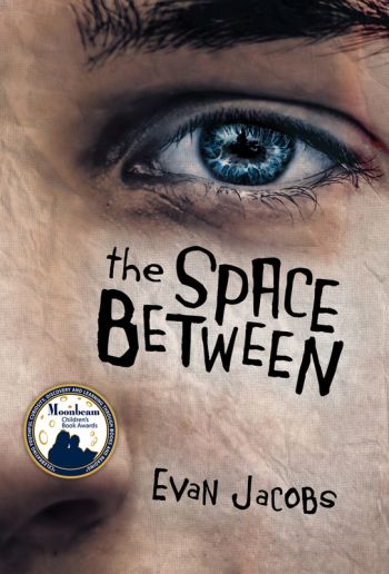 The Space Between (High Low Books)