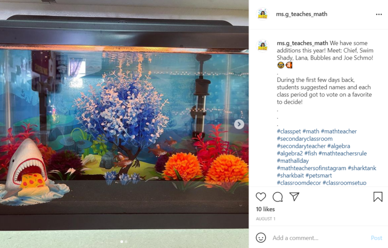 An aquarium for a classroom featuring small fish inside, colorful fake plants, and a shark eating a piece of pizza.