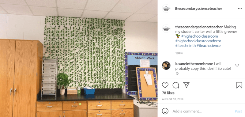 Vines hanging from the ceiling of a classroom above a countertop, , as an example of high school classroom decorations